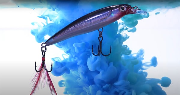 video rapala